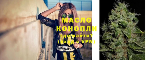 индика Верея