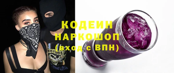 индика Верея