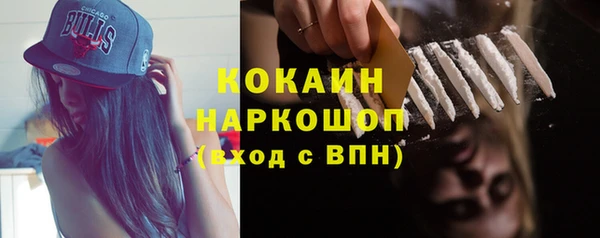 индика Верея