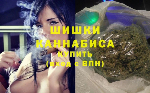 индика Верея