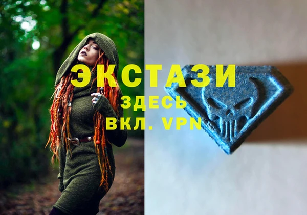 индика Верея