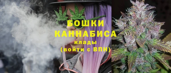 сатива Верхнеуральск