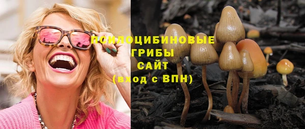 герыч Верхний Тагил