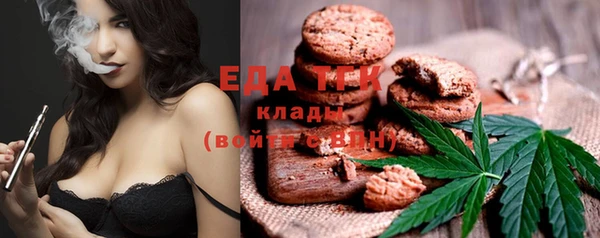 индика Верея