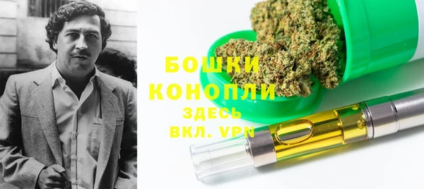 индика Верея