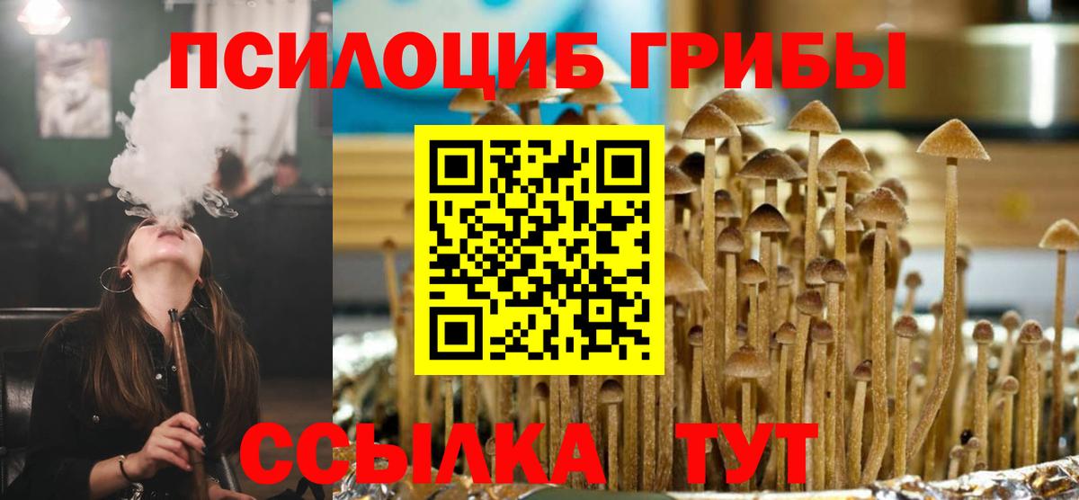 Галлюциногенные грибы мухоморы  Вход с VPN  Муром 