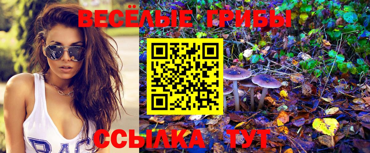 Псилоцибиновые грибы Magic Shrooms Муром